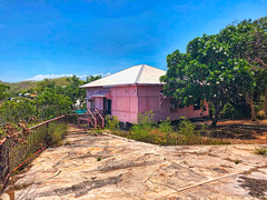 Pink house, frangipani tree.