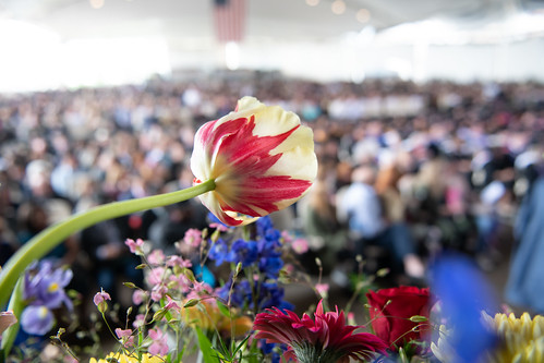 Spring 2018 Commencement