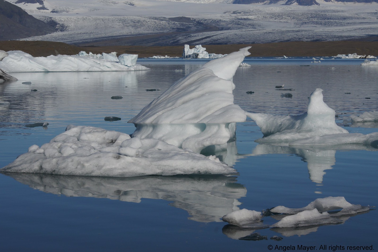 Floating Icebergs