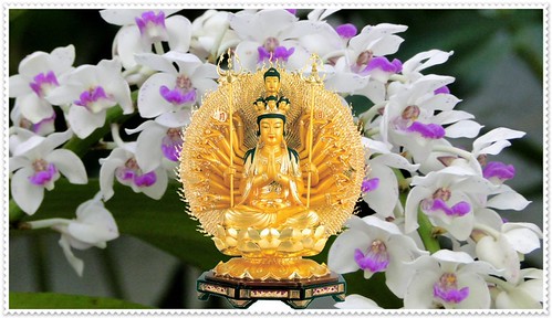 buddha indah download gratis terbaru | by hoangduongphatphap