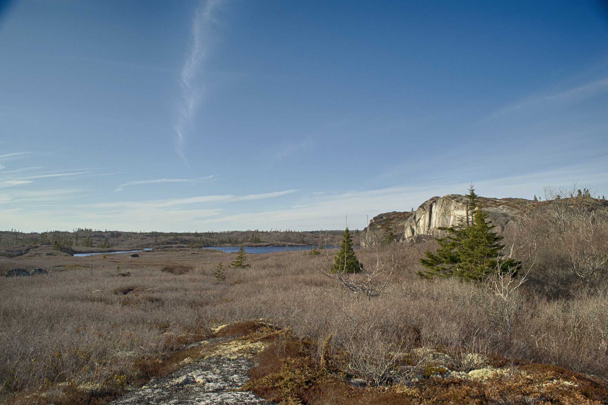 Terence Bay Wilderness Area