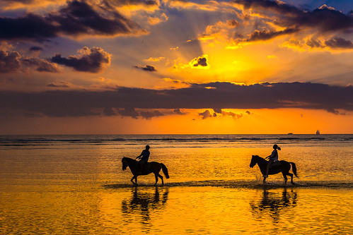 sunset summer beach landscape sunrays seashore dusk gilitrawangan island clouds horse people indonesia seaside sea pemenang nusatenggarabarat インドネシア id