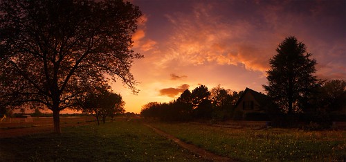 Springtime sweetness / Douceur printannière by Philippe Meisburger Photo, Sweet colors of the sunset hour caught on a dandelion covered meadow, surrounded by trees and parks,