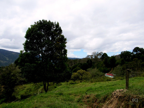 rural nubes vegetación naturaleza agricultura poste montaña pendiente colina caminata