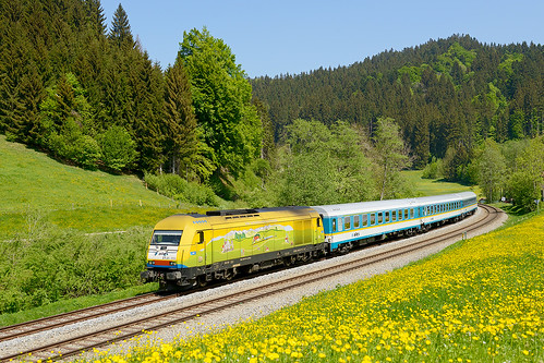 ngc train allgäu