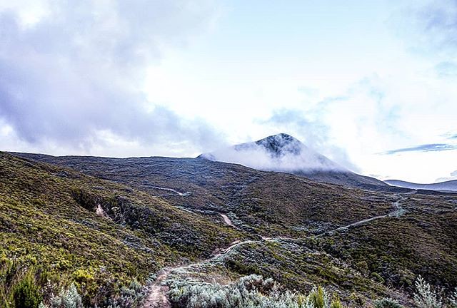 From Mt Kenya National Park's Chogoria Gate, the road to Lake Ellis isn't really a road, more like a track in the wilderness, winding across mountainous moorlands and a dense rain forest. It's not for the faint hearted driver or car though. You need to be