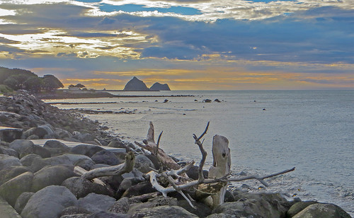 sea coast sunset driftwood stones beach clouds