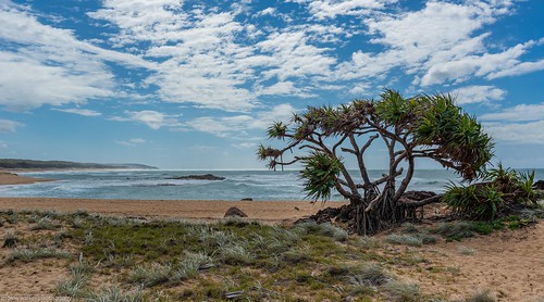 wreck rock deepwater national park queensland australia beach sand ocean sea sky