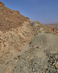 At the Devonian trilobite site
