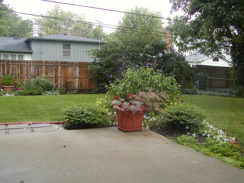 Backyard | by Kevin Majeski