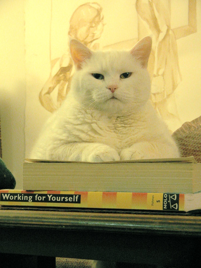 BusinessCat