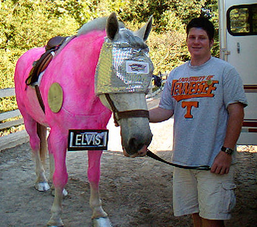 Elvis & Pink Caddiliac - Germantown Charity Horse Show Costume Class - 2000