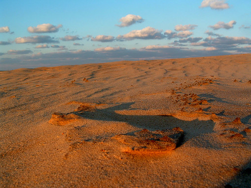 Kitty Hawk Sand Dune | by fickle_hellcat