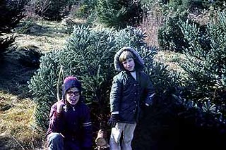 T10-S1-16.jpg | by 3hawthorne