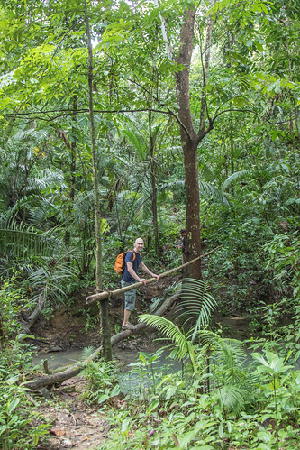 java indonesia ujung kulon kalejetan laban forest rainforst jungle bridge stream crossing jason sumur banten