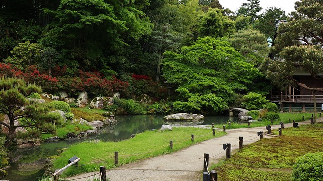 the back of a bathing dragon / 京都 青蓮院門跡 相阿弥の庭 Shoren-in Ryujin-no-ike,Kyoto