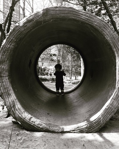 Gate to the future #gate #blackandwhitephotography #iphonephotography #gate #LincolnParkZoo | by ma4werner