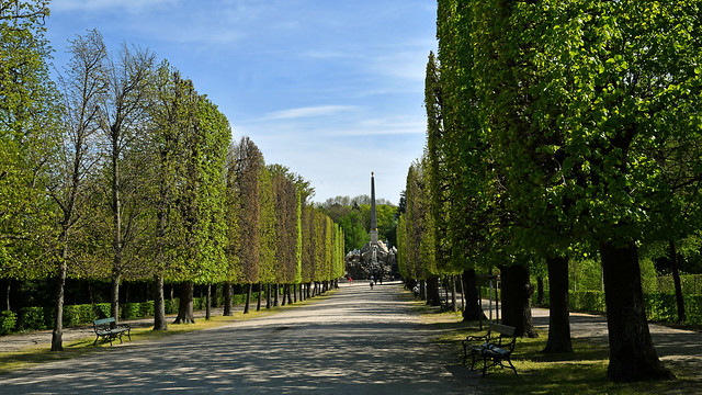 Obeliskenallee im Park von Schloss Schönbrunn im Frühling