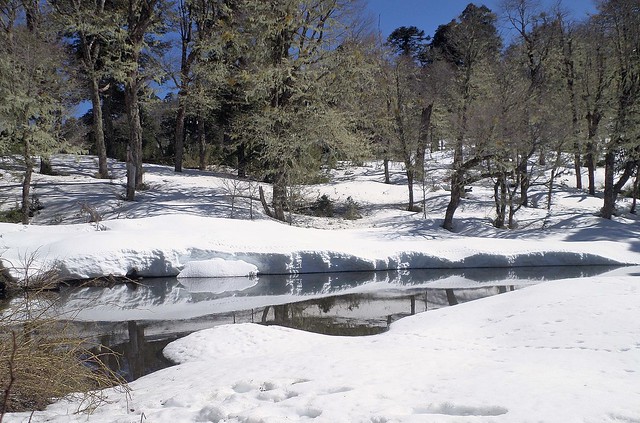 426 - Frozen lake