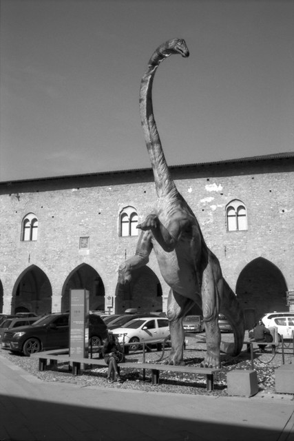 Brontosaurus in Bergamo