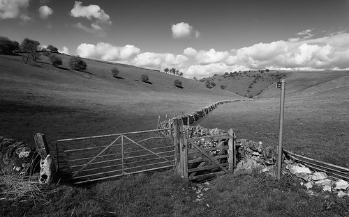 landscape derbyshire peakdistrict whitepeak limestone deepdale gatedrystonewalls blackwhite monochrome sheldon